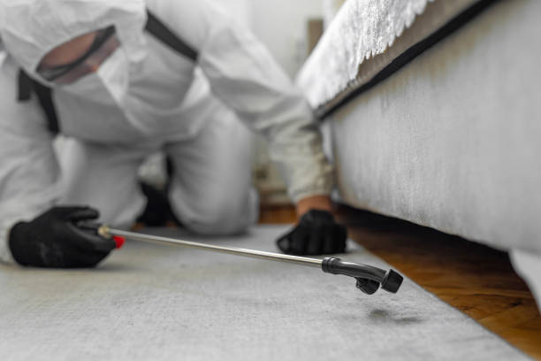 Professional Fumigation Services technician working in New Berlin, IL
