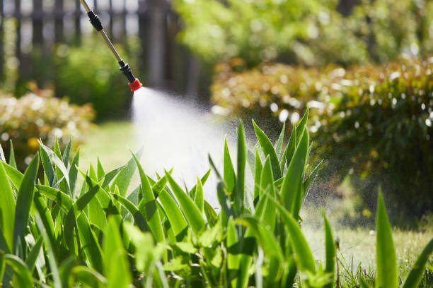 24/7 Emergency Fumigation Services experts in New Berlin, IL